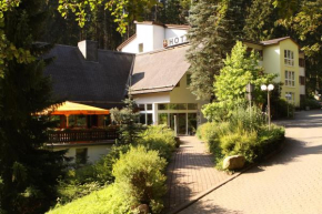 Гостиница Waldhotel Ehrental, Шмалькальден